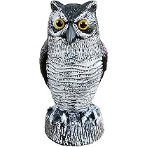 霊が見える置物 Amazon.co.jp: フクロウ 置物 鳩よけ 鳥よけ リアル 本物